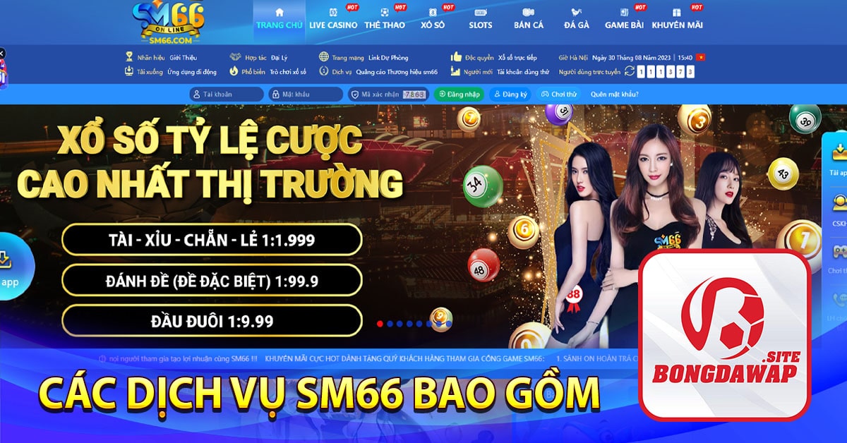 Các dịch vụ SM66 bao gồm: