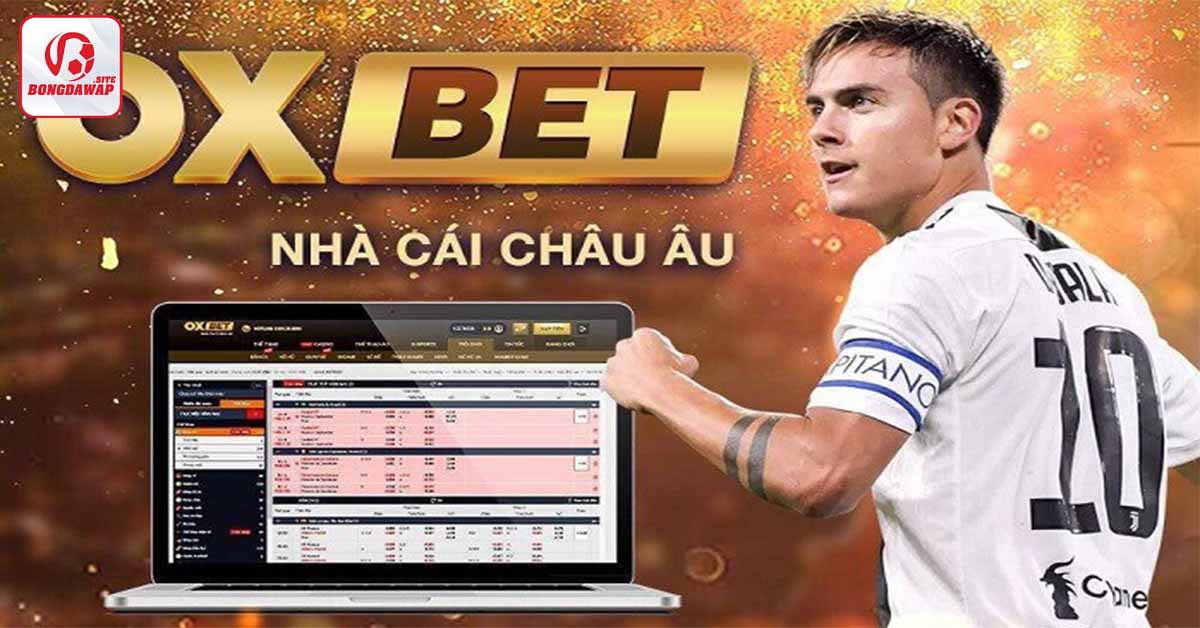 Oxbet casino-Link cá cược ngoại hạng Anh 2023-2024