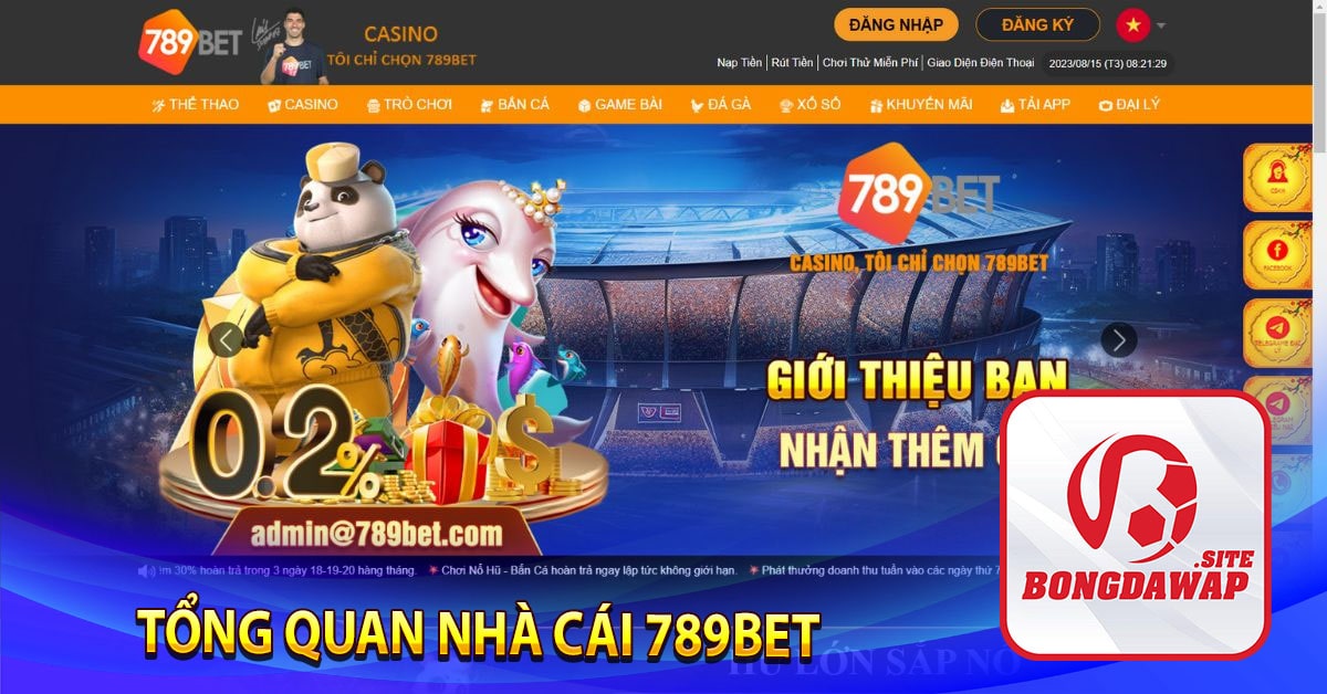 Tổng quan nhà cái 789Bet