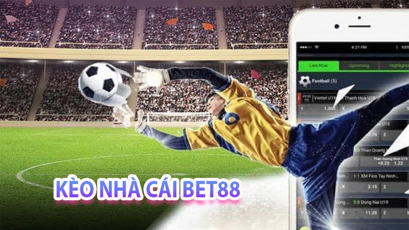 Tìm hiểu những thông tin về kèo nhà cai bet88