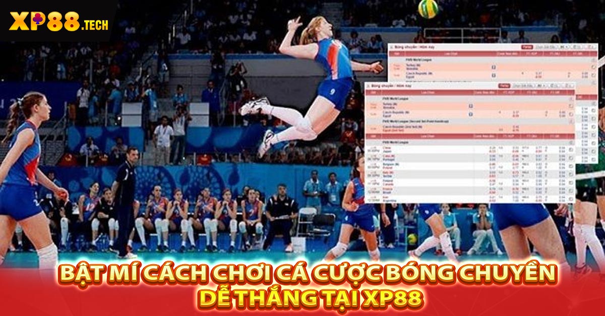 Bật mí cách chơi cá cược bóng chuyền dễ thắng tại XP88