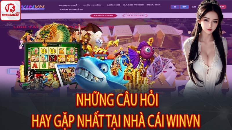 [FAQ] – Những câu hỏi hay gặp nhất tại nhà cái Winvn 