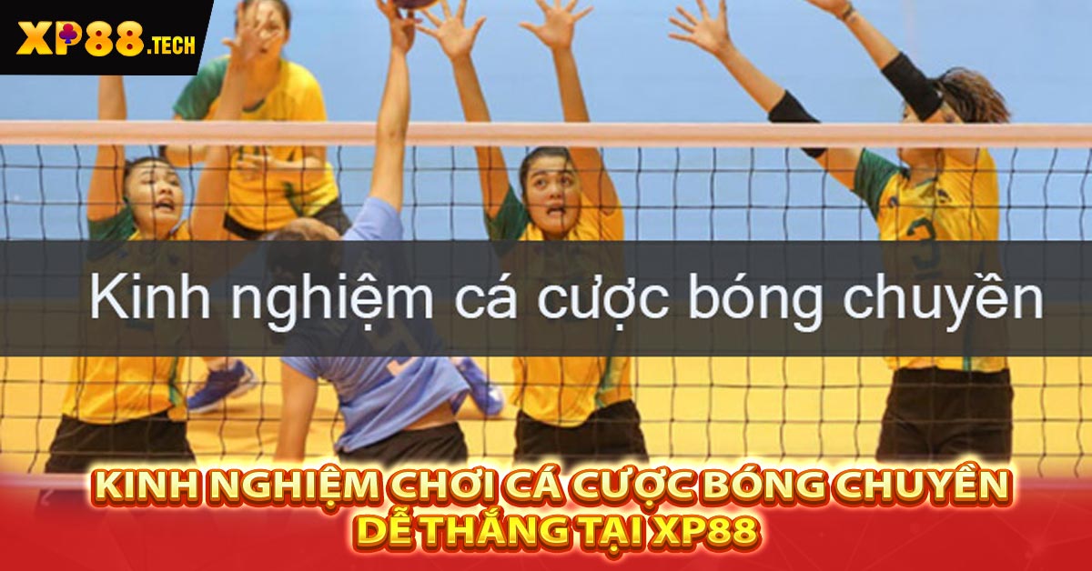 Kinh nghiệm chơi cá cược bóng chuyền dễ thắng tại XP88